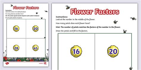 Grade 4 Maths - Factors: Flowers (CAPS Aligned)