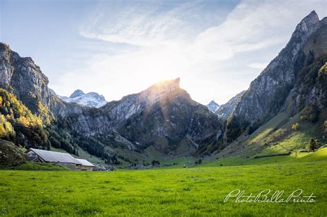 Alps Encoder 的图像结果