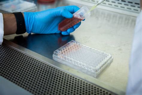 Cell 2D 的图像结果