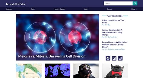 Image result for Using Blog