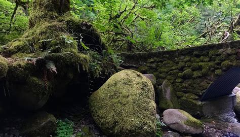 WIESENDANGER FALLS - All You Need to Know BEFORE You Go 2026 (with ...