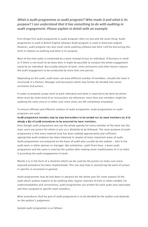 Audit Program 的图像结果