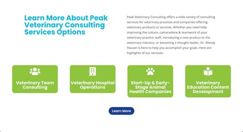 Peak Vet | Mountaintop Web Design