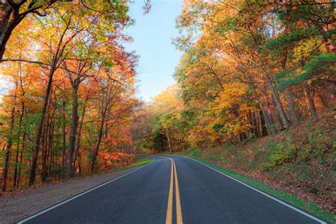 Fine Art America Review | Pros and Cons