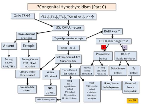 Image result for Hypothyroidism Treatment Algorithm