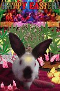 Image result for Easter Bunny Pattern Head