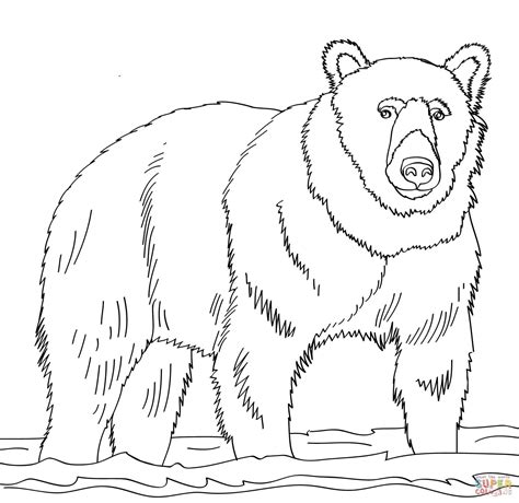 Printable Brown Bear Brown Bear Coloring Pages