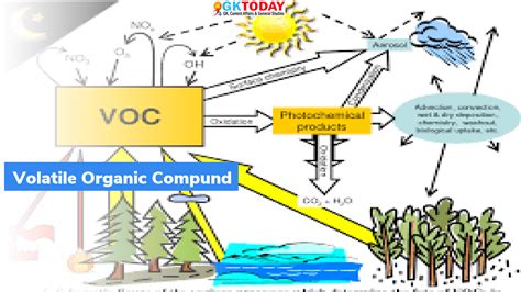 Image result for Volatile Organic Compound Sources