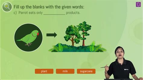 Image result for Class 6 Science Chapter 1 Infinity Learn