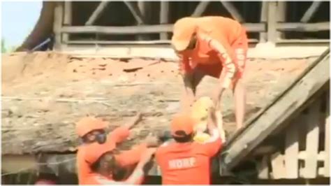 Dog rescued by NDRF team from rooftop of hotel in flood-hit Kolhapur ...
