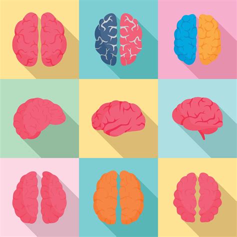 Image result for Brain