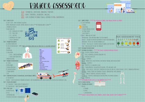 Patient Assessment/ EMT- Paramedics/ Medical/ EMS - Etsy