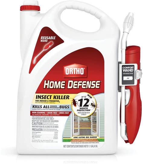 The Best Ant Killer: 2021 Reviews and Buying Guide