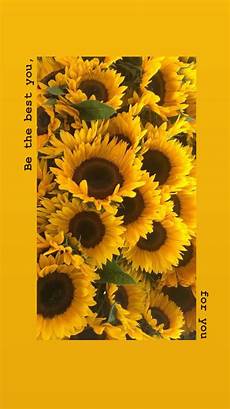 Lock Screen Iphone 7 Sunflower Wallpaper by The One With The Phone Wallpapers Image By Natalie Lock Screen Iphone 7 Sunflower Wallpaper