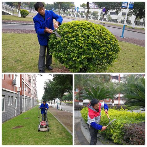 常宁：城区绿化补植工作将于5月初完成_生态_常宁新闻网