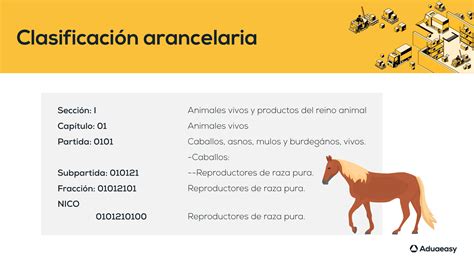 ¿Qué Es La clasificación arancelaria en México?
