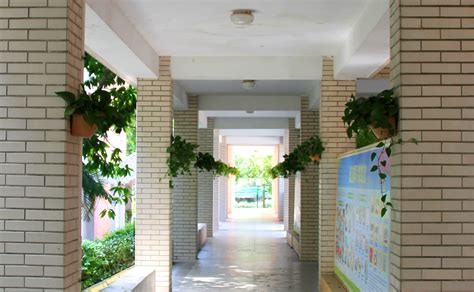 绿萝长廊-校园设施-梅山中学