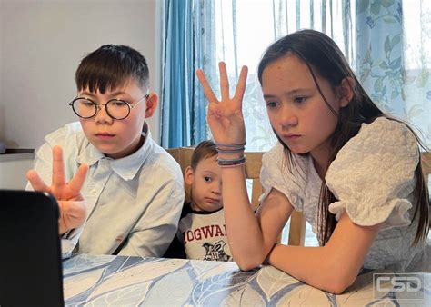 Europe in Sign Language 的图像结果