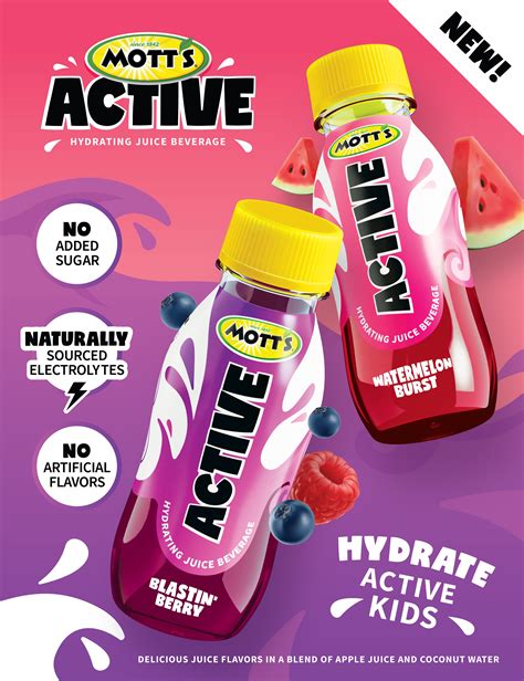 Motts Appelsap Pak Motts Applesauce Apple Clear Pouches 12 3.2 Oz