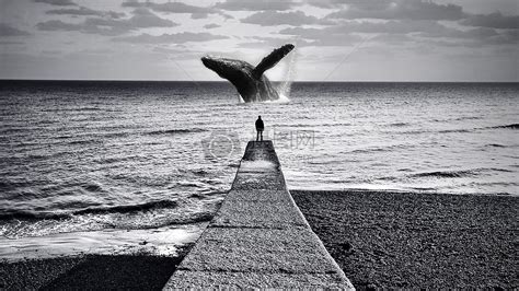 沉睡的鲸鱼插画图片下载-正版图片400099233-摄图网