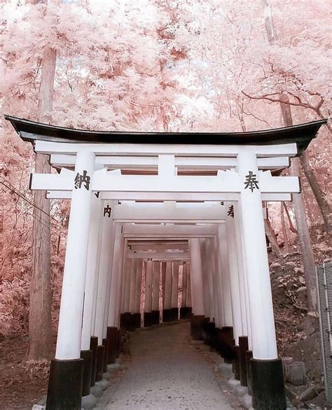 Japan Gate 的图像结果