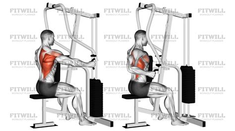 Image result for Machine Row Exercise