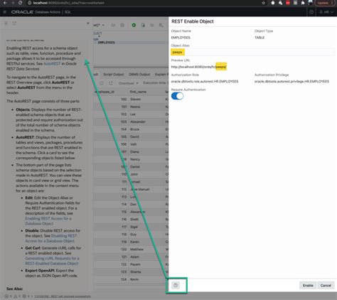 Image result for How to User SQL Developer Table Filter