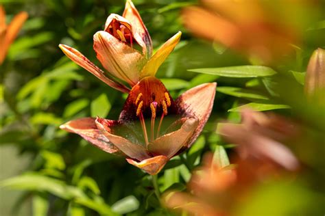 Meet Lena Samford - CanvasRebel Magazine