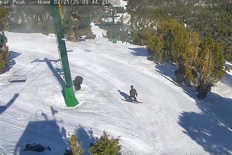 Southern California Ski Resort Webcams: Check Conditions Before You Go ...