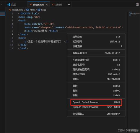 Visual Studio Code HTML Deutsch 的图像结果