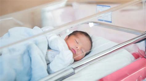 Premature And Full-Term Birth: Impact Of Premature Birth On Babies And ...