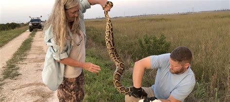 Image result for Catching Python's in Florida