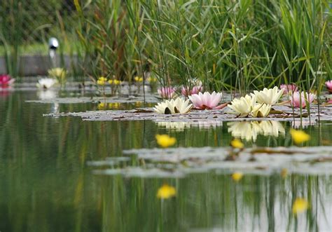 Arbeitsunfall: Im Teich ertrunken - UnserTirol24
