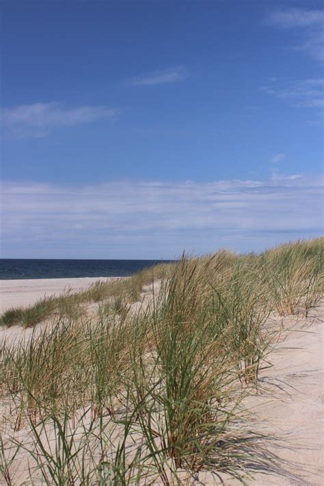 Baltic sea cruise – Artofit