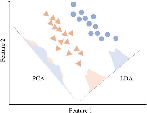 Tutorial LDA and PCA Jupyter 的图像结果