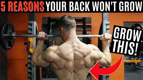 5 Reasons Your Back Won