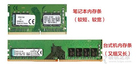 DDR2-DDR3都有 笔记本内存条升级推荐(6)_硬件_科技时代_新浪网