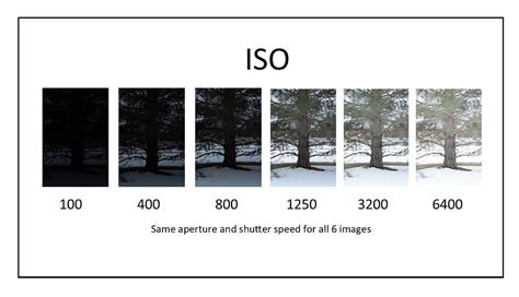 Camera ISO Explained 的图像结果