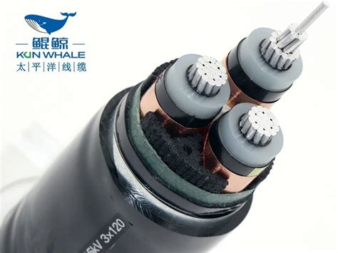 电线电缆厂家供zc-yjlv22-8.7/15kV-3x240铝芯高压电缆-太平洋线缆