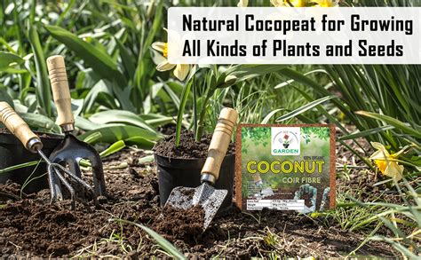 GATE GARDEN Cocopeat Block - 4 KG | Expands up to 20 Liters ...