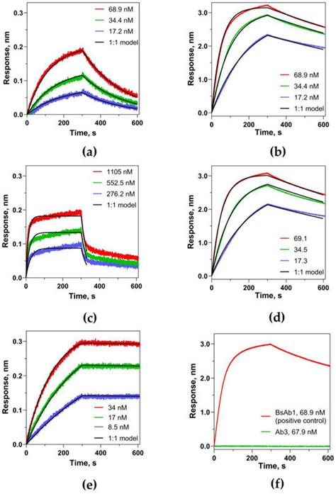 Towards the Application of a Label-Free Approach for Anti-CD47/PD-L1 ...