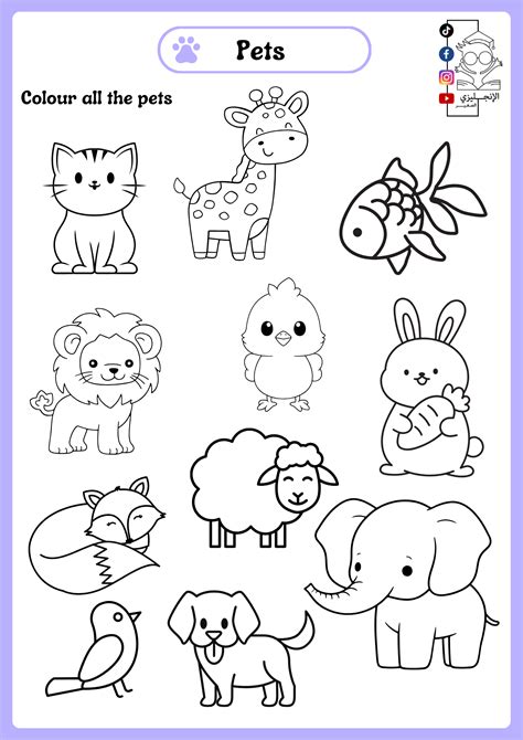 Pets Worksheet 的图像结果
