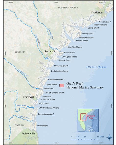 Georgia Barrier Islands Reef