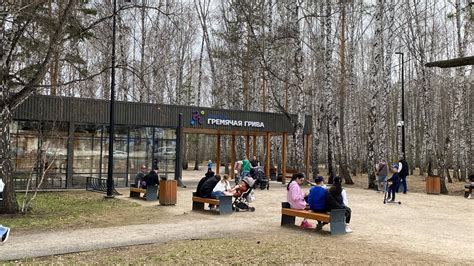 Прогулка по Эко парку Гремячая грива, Красноярск. - YouTube