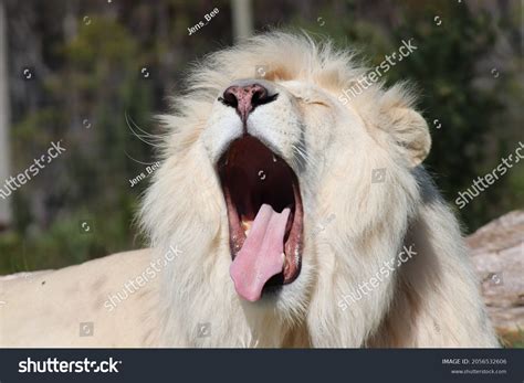 Image result for Website Using HTML CSS JavaScript Body
