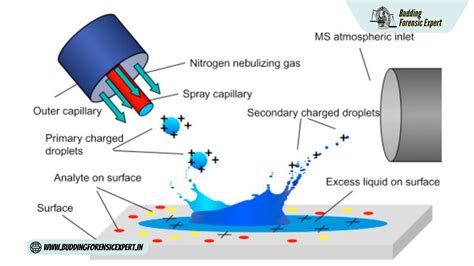Chemical Imaging for Enhanced Fingerprint Analysis