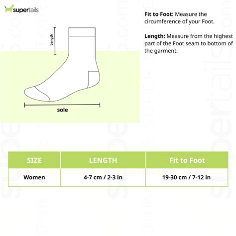 SocksXpress Looney Tunes Cartoon High Ankle Socks for Women (Pack of 3 ...