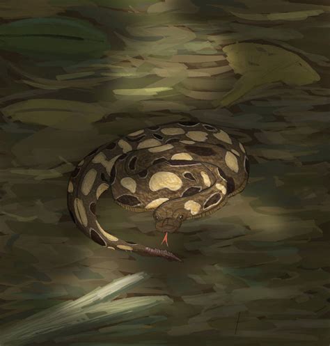 Image result for 4 6 5 The Worm Python