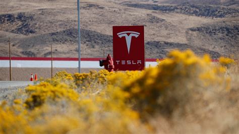 Tesla 2020 deliveries beat estimates, but fall just short of Musk's ...
