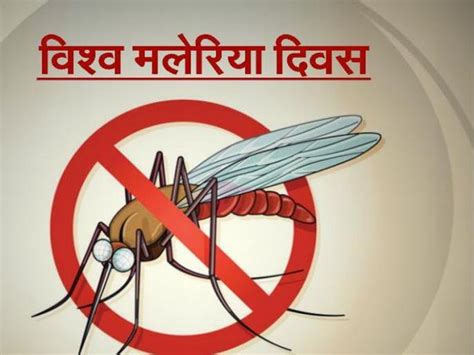 World Malaria Day: मलेरिया का पहला लक्षण ऐसे पहचानें, इलाज में कारगर ...